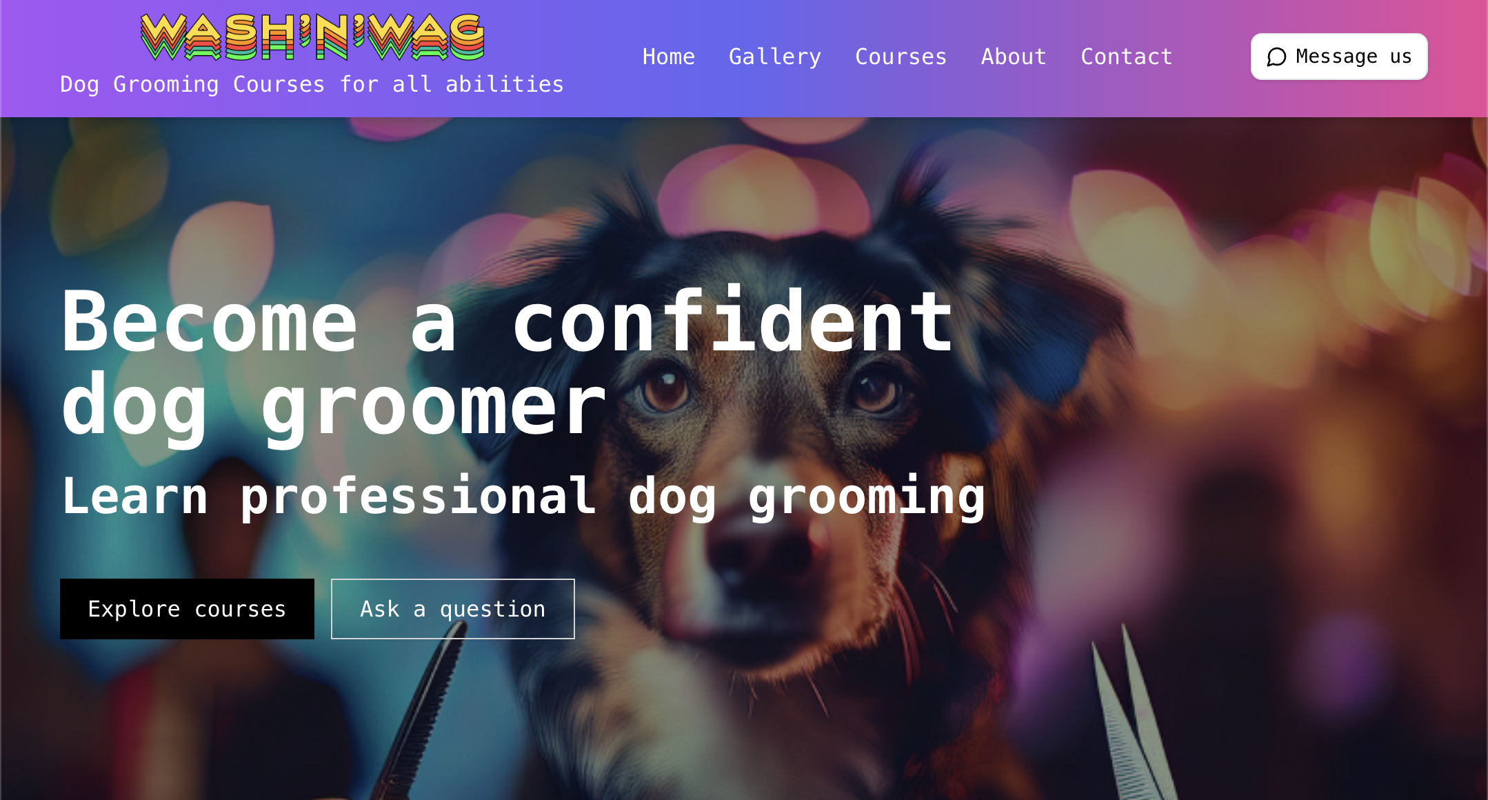 Wash N Wag Academy